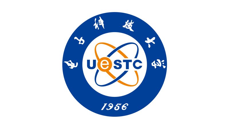 电子加工合同模板：差异与选择要点