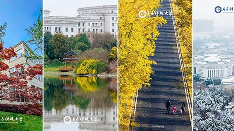 揭秘深圳SMT贴片生产：技术演进与行业排名解析